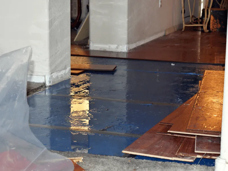 Water Damage Restoration Ferndale