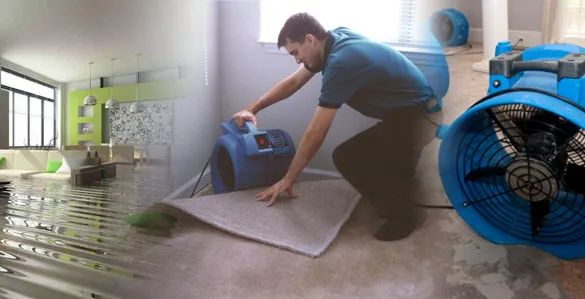Water Damage Restoration Lynden