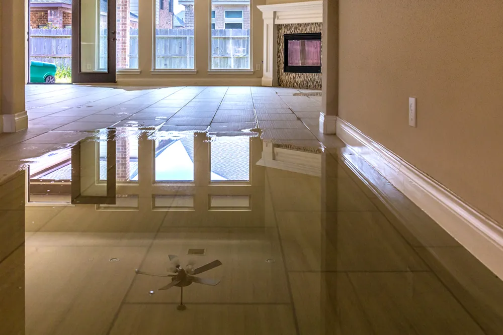 Water Damage Restoration Bellingham