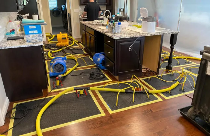 Water Damage Restoration Ferndale
