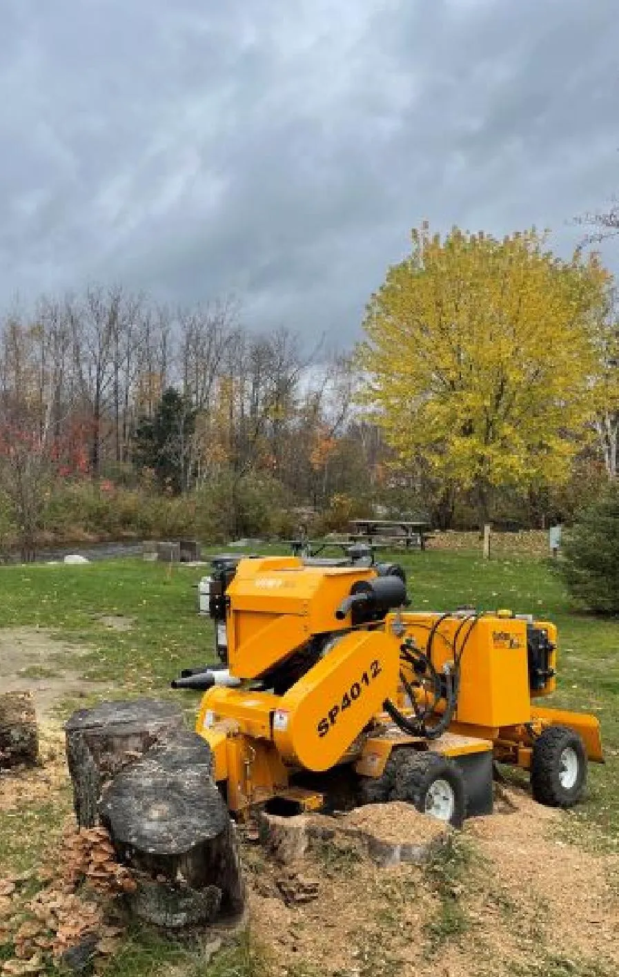 Stump grinding and tree stump removal by Allin Stump & Tree LLC in a backyard setting, featuring professional-grade equipment and vibrant autumn trees in the background