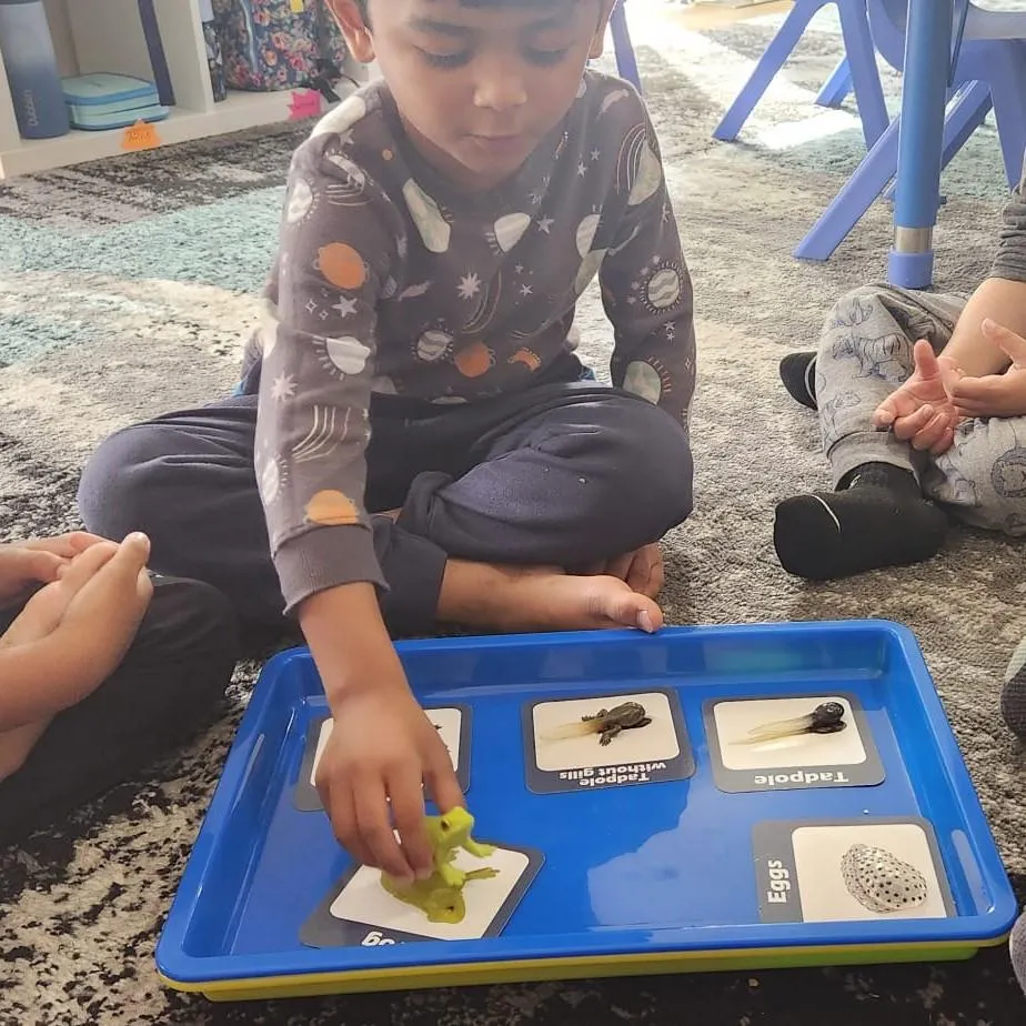 Boy picks paper out of different colored liquids