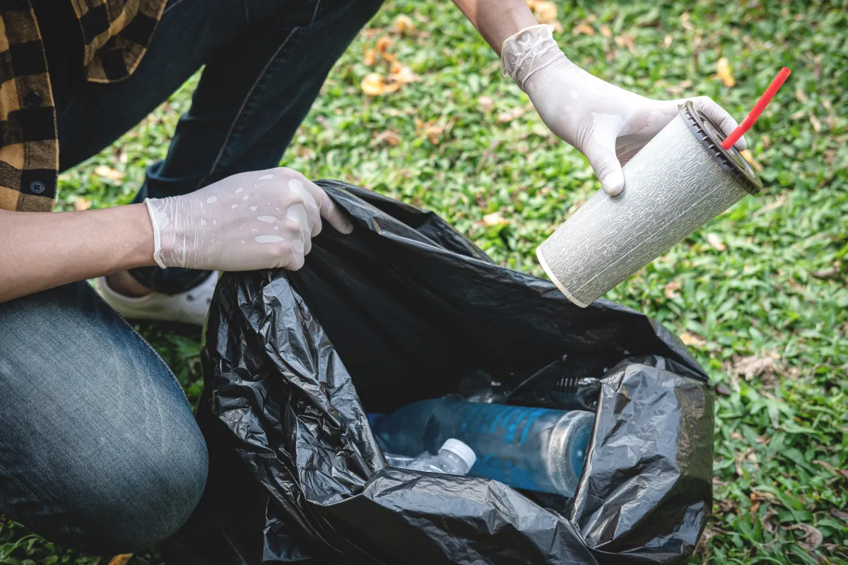 Suwanee Trash Removal