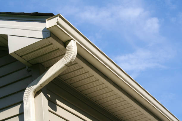 Thornton Gutter Cleaning