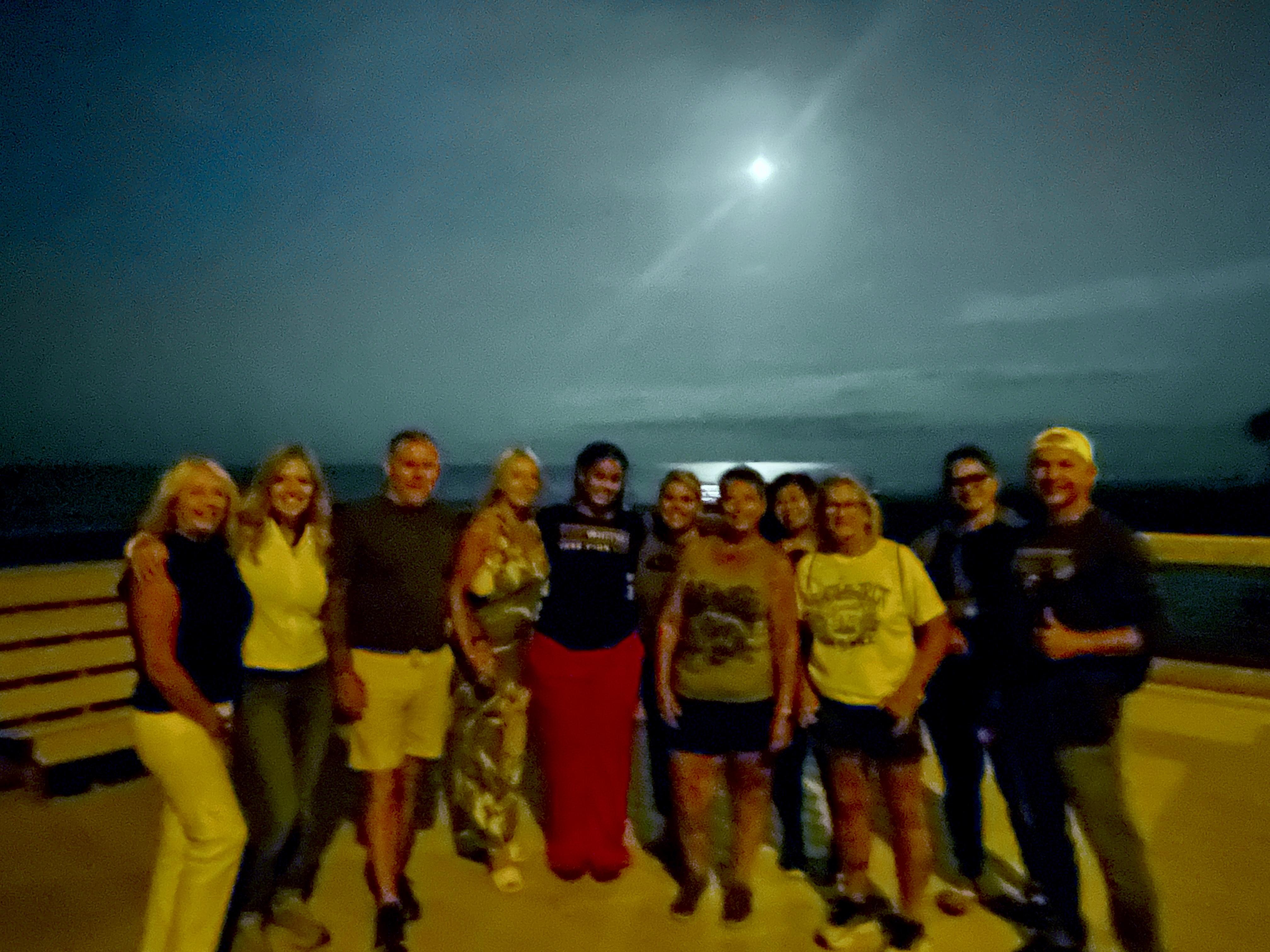 Turtle Night Walk