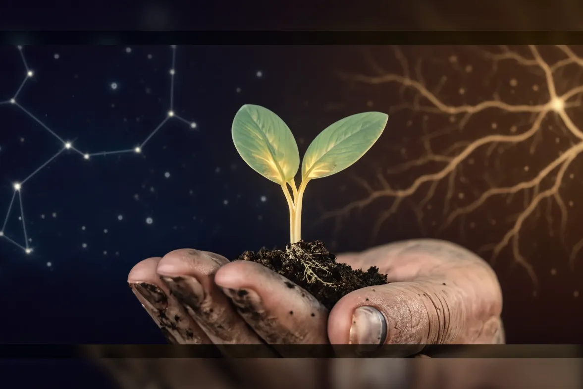 A close-up of a human hand gently holding a small, glowing seedling, with soft golden light emanating from within. The background is a subtle double-exposure blend: one side shows faint astrological constellation lines in deep indigo, the other side shows delicate neural network patterns in warm amber—symbolizing the marriage of cosmic timing and neuroplasticity. 