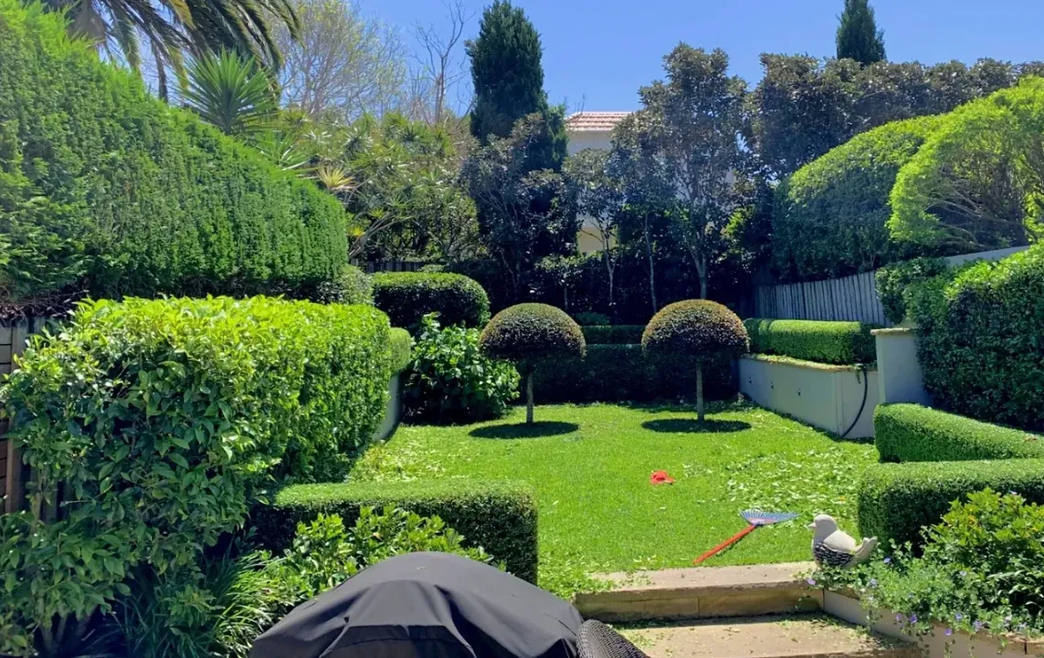 person standing on grass besides trees