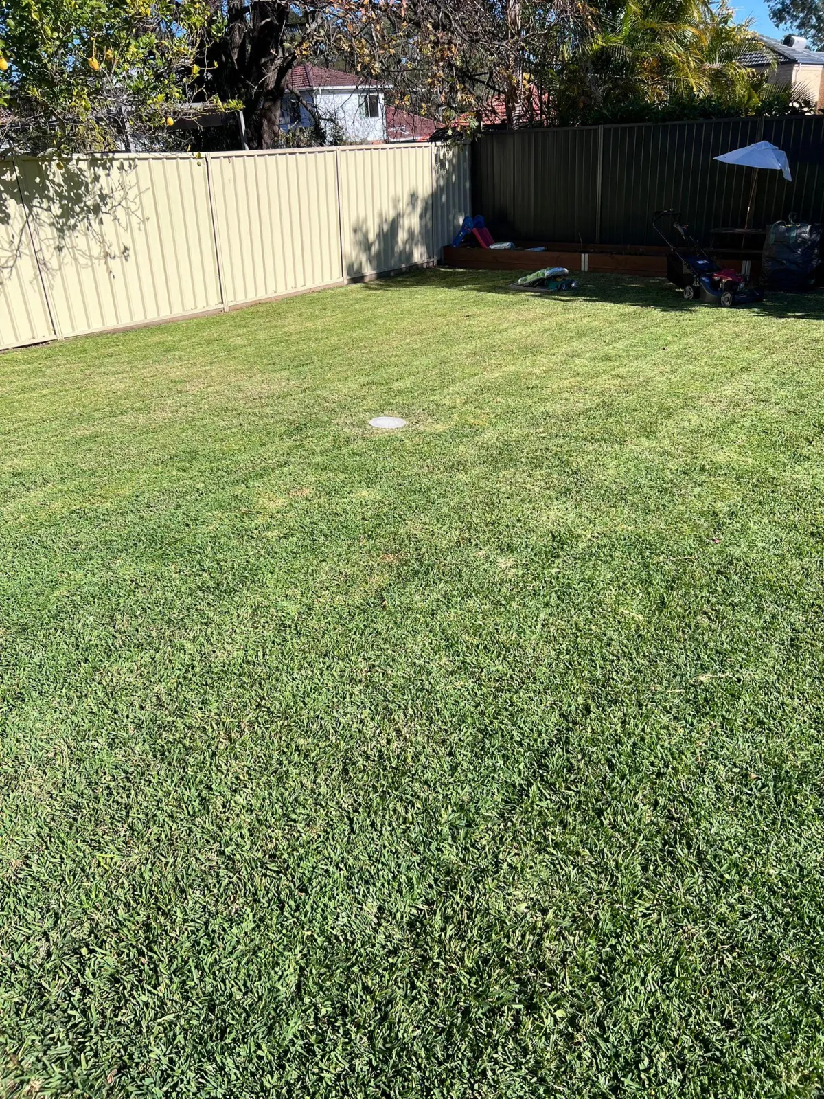 a lawn mower on the lawn