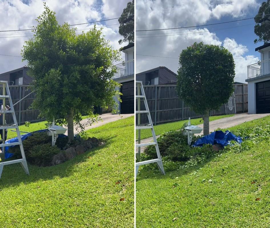 a lawn mower on the lawn