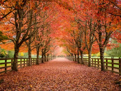 Is October Too Late to Sell a House in Minnesota?