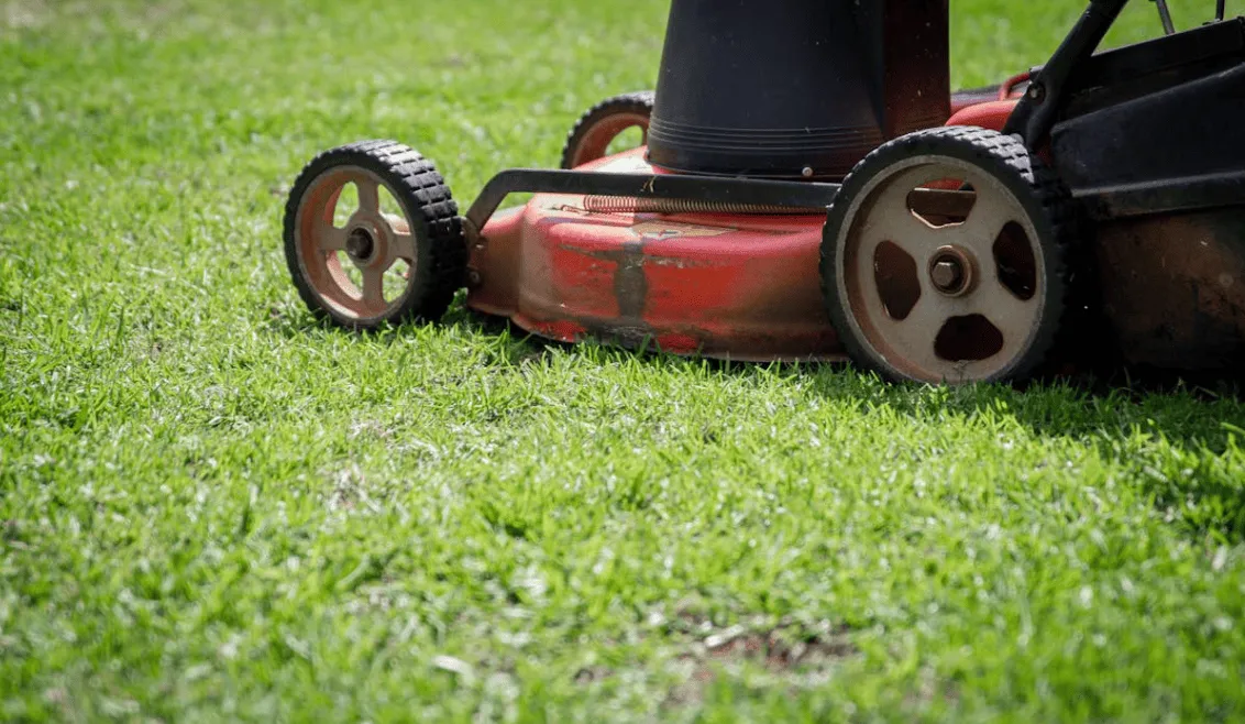 Precision Mowing & Edging