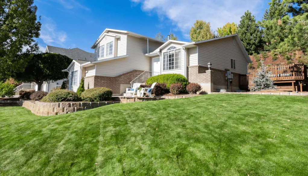 Precision Mowing & Edging