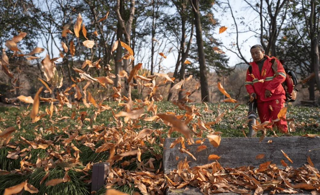 Leaf & Debris Removal in Tuscaloosa, AL