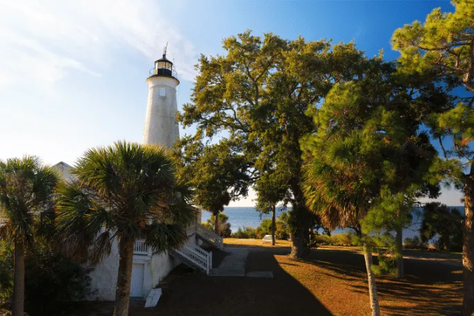 The St. Marks National Wildlife Refuge in Tallahassee, Florida has a bioluminescent beach that you need to see