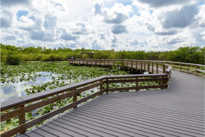 Everglades National Park is one of the cheapest places to vacation in Florida