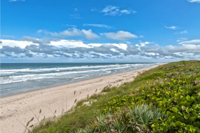 Canaveral National Seashore in New Smyrna Beach, Florida has a bioluminescent beach that you need to see