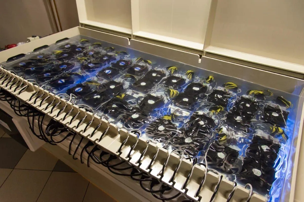 a bitcoin sitting next to a bitcoin on the ground