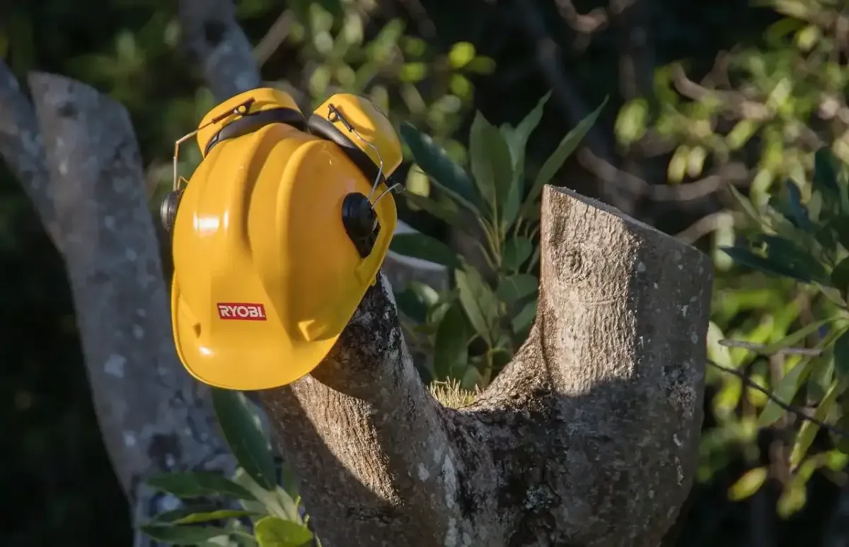 brown tree trunk on green grass field