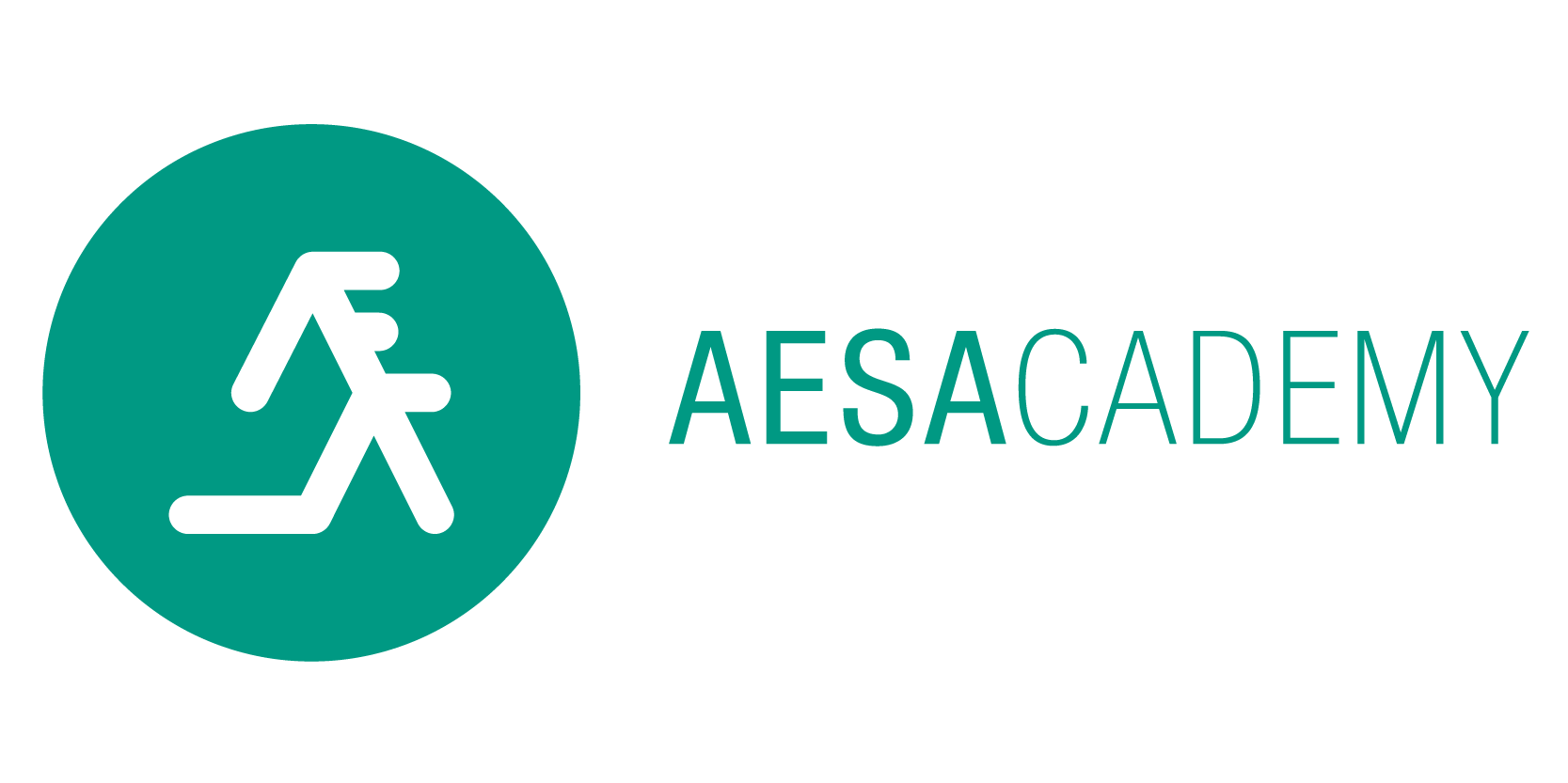 Aesacademy Logo