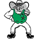 Free State High School Firebirds