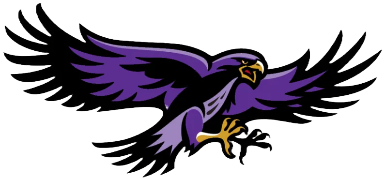 Free State High School Firebirds