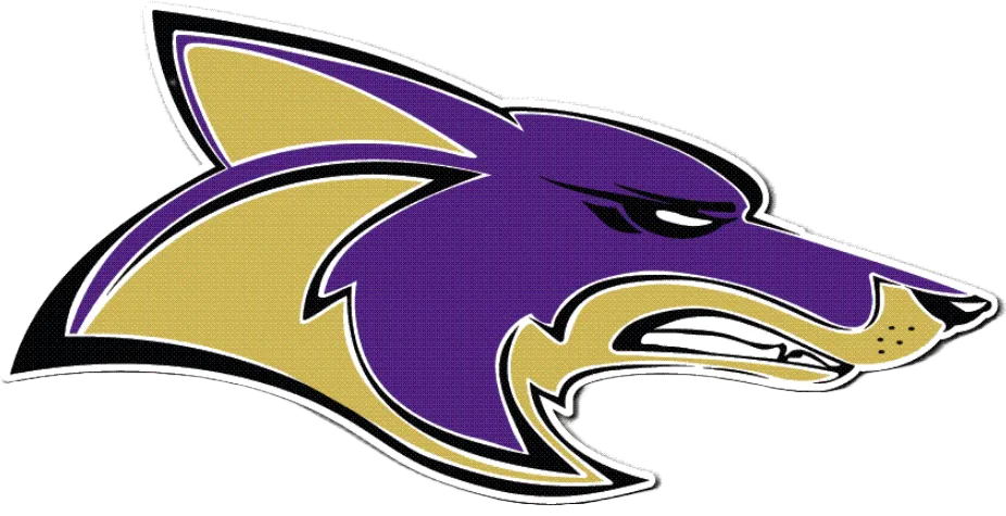 Free State High School Firebirds