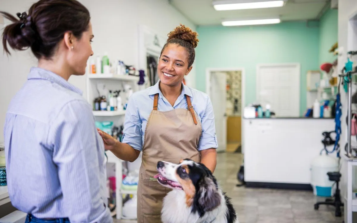 brown short coated dog on green grass field during daytime