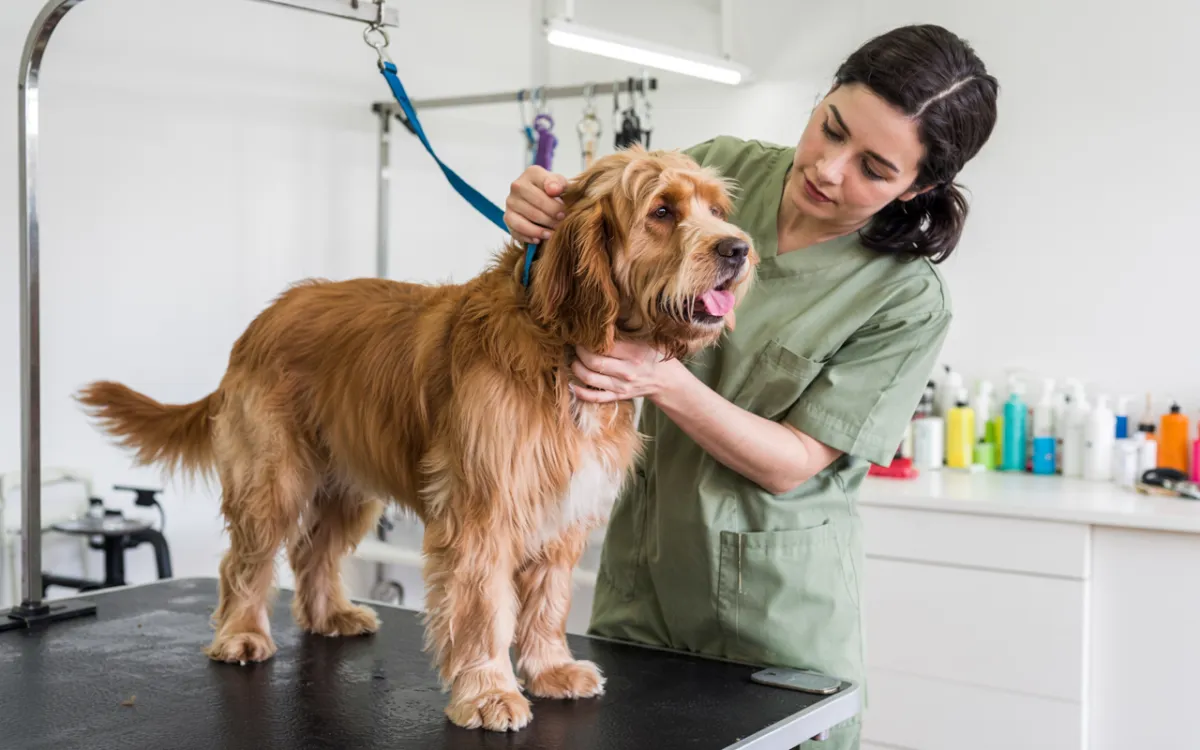 white ceramic bathtub