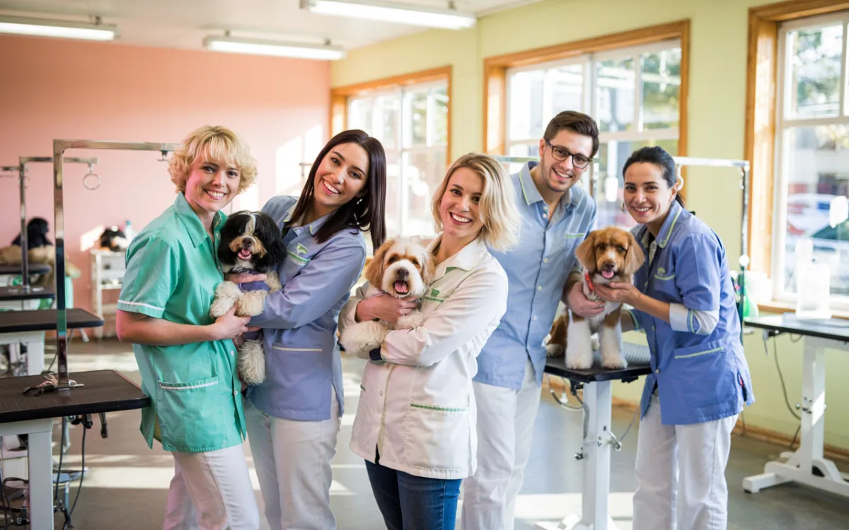 brown short coated dog on green grass field during daytime