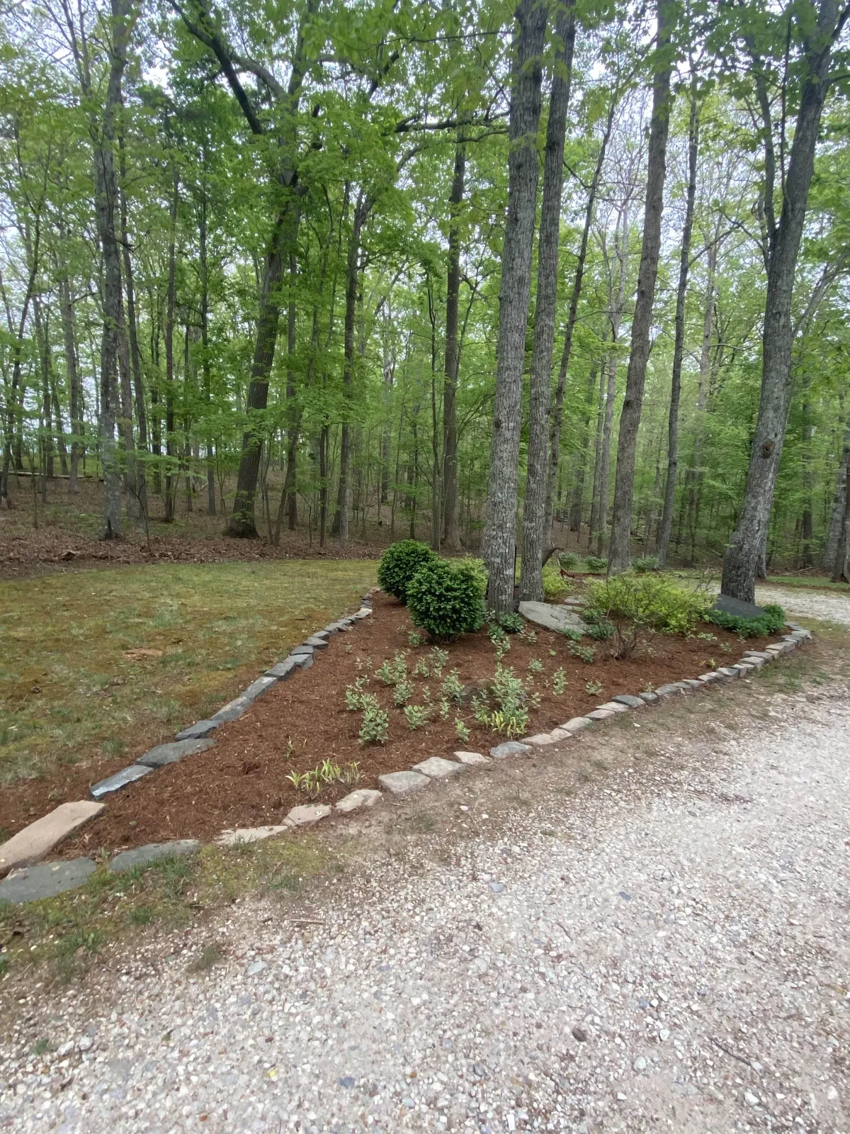 Lynchburg Lawn Fertilization and Weed Control