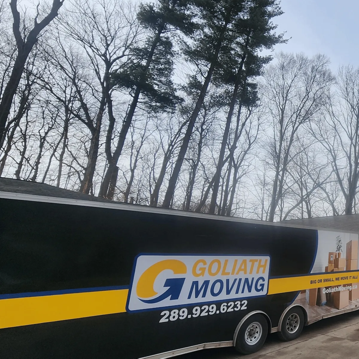 gallery moving