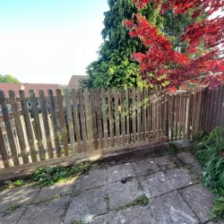 Picket fencing photo