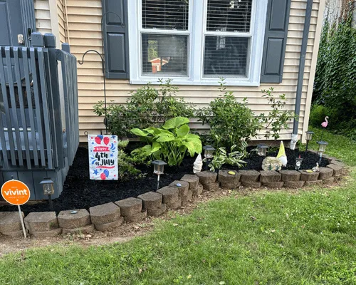 Lawn Fertilization & Weed Control Rochester