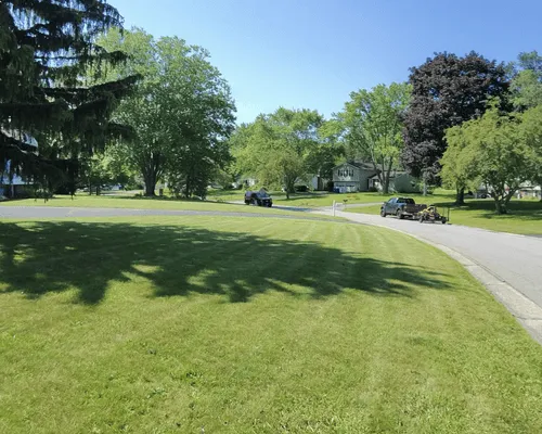  Lawn Fertilization & Weed Control
