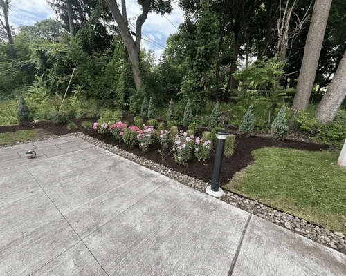 Bush & Hedge Trimming in Rochester