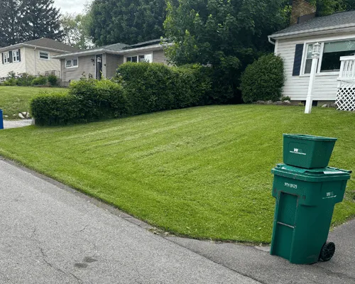 Lawn Fertilization & Weed Control Rochester