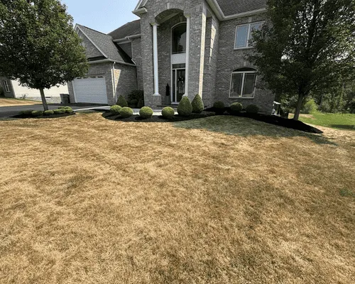 Junk Removal & Moving Labor Rochester