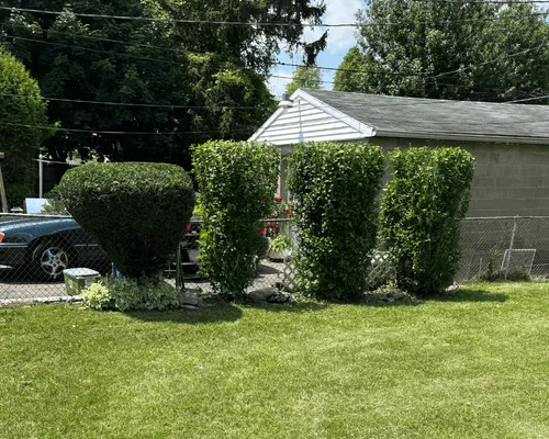 Gutter Cleaning Services Rochester