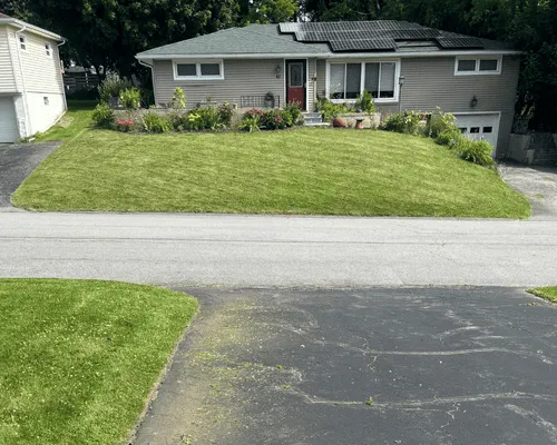 {{ custom_values.service_1 }} in {{custom_values.biz_area_1})