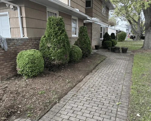 Lawn & Property Maintenance Rochester