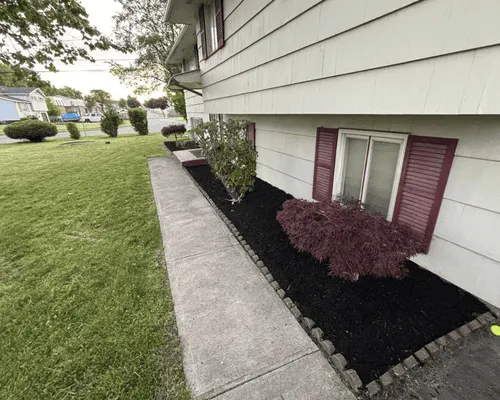 Bush & Hedge Trimming Rochester