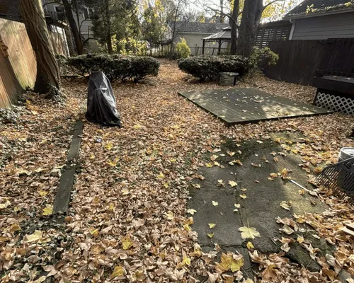 Seasonal Yard Cleanups in Rochester