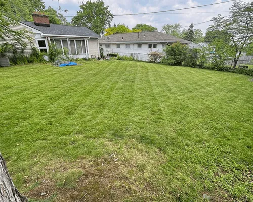 Landscaping Services Rochester