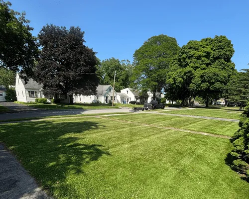 Lawn Fertilization & Weed Control in Rochester