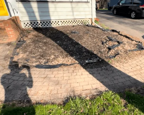 Seasonal Yard Cleanups Rochester