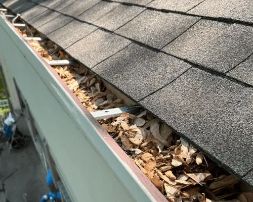 Gutter Cleaning Services in Rochester