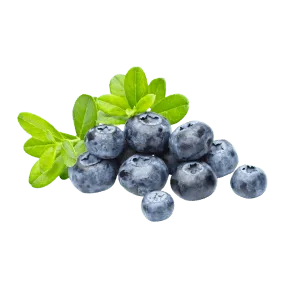 Visipure Ingredients Bilberry