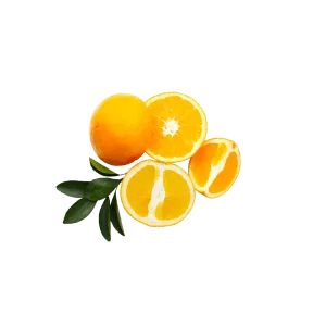 Visipure Ingredients Vitamin C