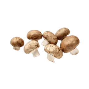 Visipure Ingredients Copper