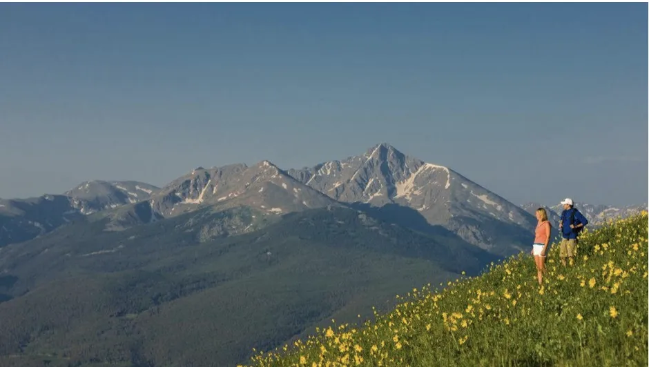 Hikers in a flower-filled meadow looking at the Colorado Rockies